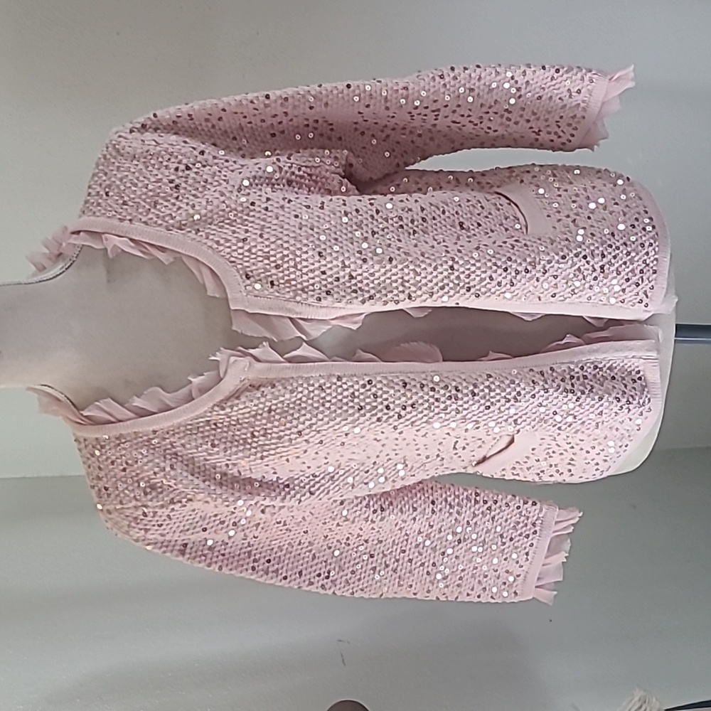 Dusty Pink Sequined Blazer